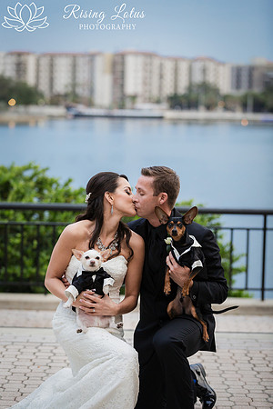 ..... more puppy love.