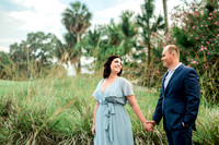 preview-6