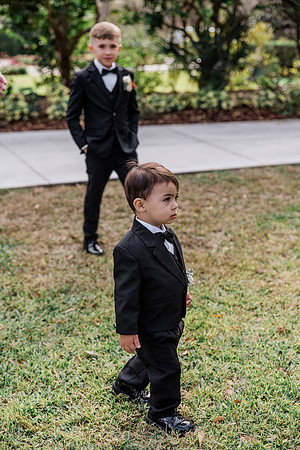 wedding (382 of 1462)