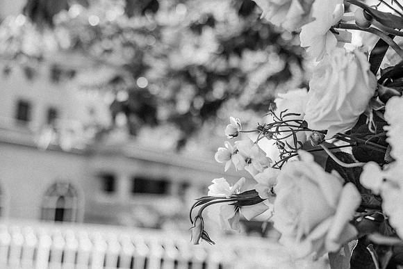 weddingbw-194