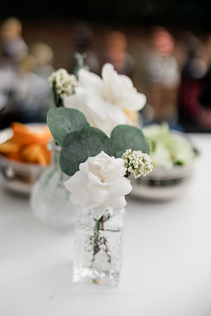 wedding (484 of 1462)