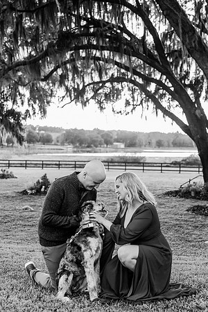 engagement-13