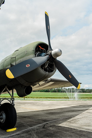 A&M-1175