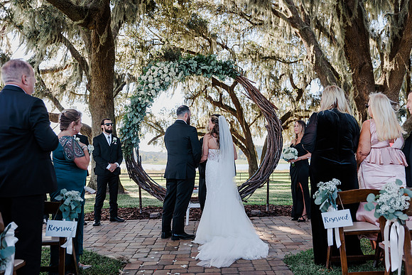wedding-545