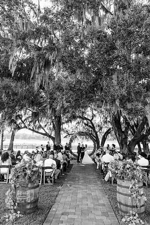 wedding-579