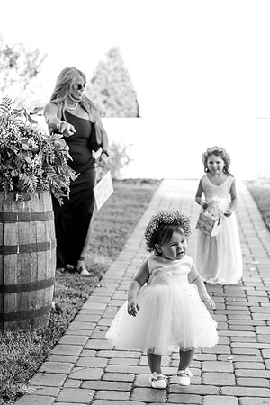 wedding-515