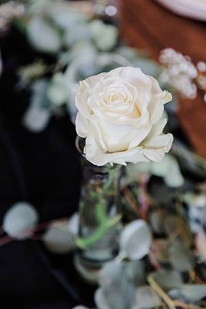 wedding-435