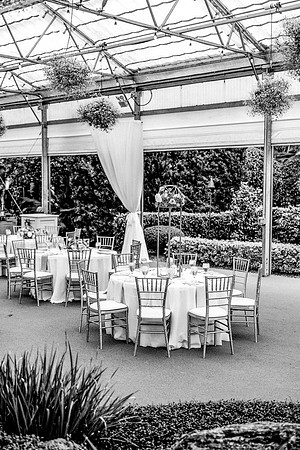 wedding-756
