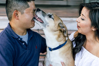 engagement preview-12
