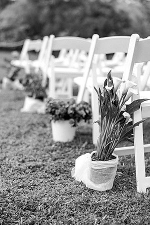 wedding-571