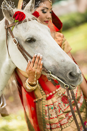 Horses in weddings, Ocala wedding photographer