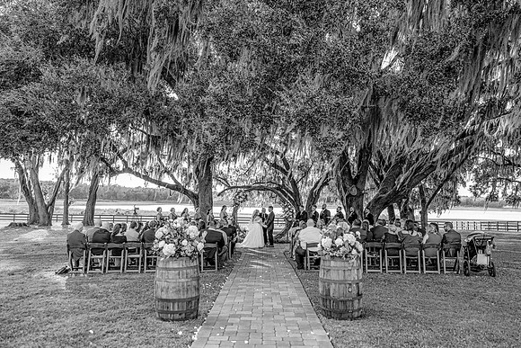 wedding-531