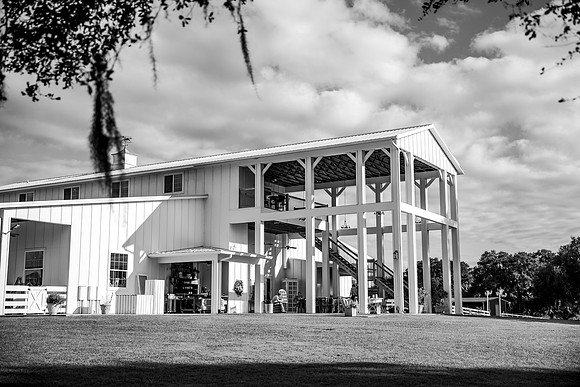 wedding-464