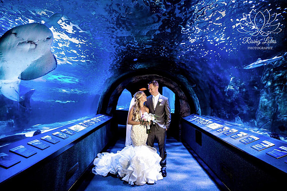 Top International Wedding Photographer