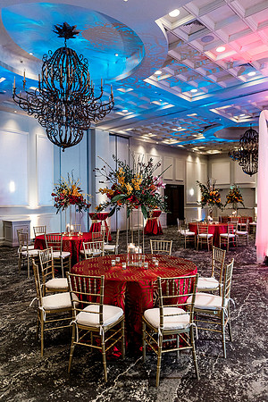Top Florida and Ocala wedding photographer
