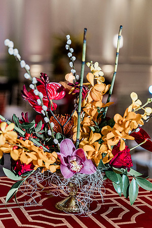 Top Florida and Ocala wedding photographer