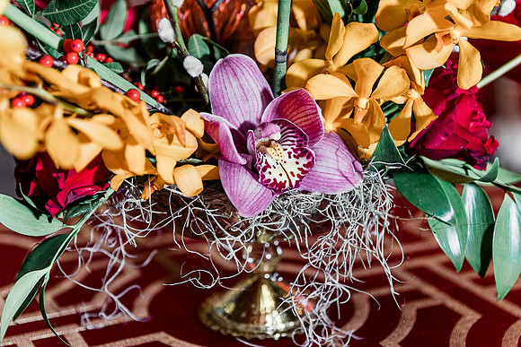 Top Florida and Ocala wedding photographer