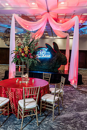 Top Florida and Ocala wedding photographer