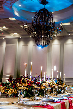 Top Florida and Ocala wedding photographer