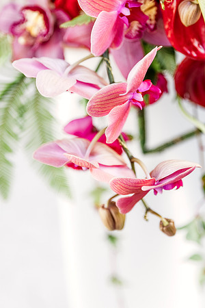 Top Florida and Ocala wedding photographer