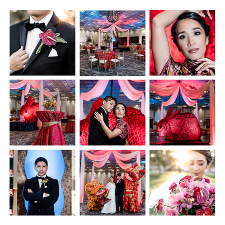 Top Florida and Ocala wedding photographer