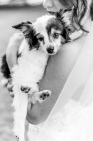 stephanieanddustin-2
