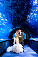 Newlyweds