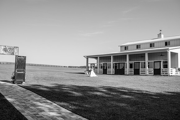 K&Lwedding-556