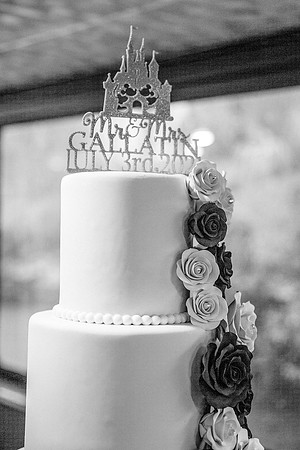 wedding (496 of 1448)