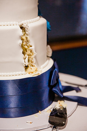 wedding (1219 of 1448)