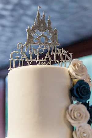 wedding (498 of 1448)