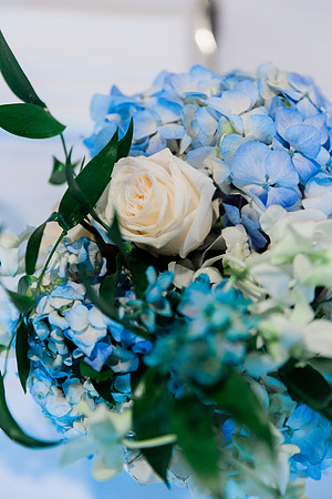 wedding (503 of 1448)
