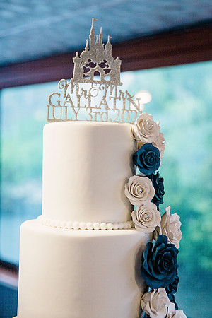 wedding (495 of 1448)