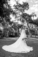 Wedding (323 of 1019)