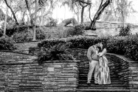 engagement-19