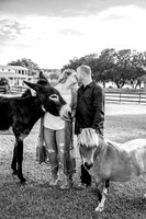 Family-6