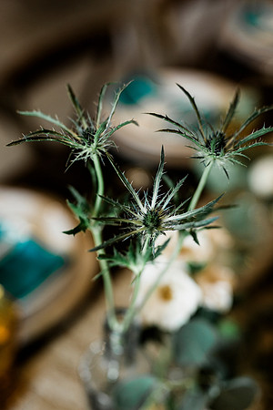 boho -103