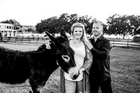 Family-14