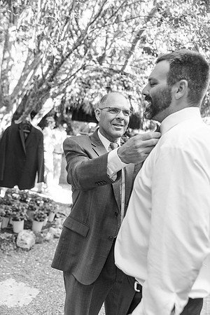 wedding-365
