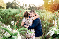 proposal-6