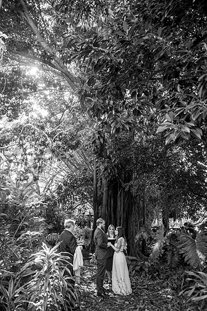 wedding-8