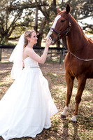 Bridal Portraits
