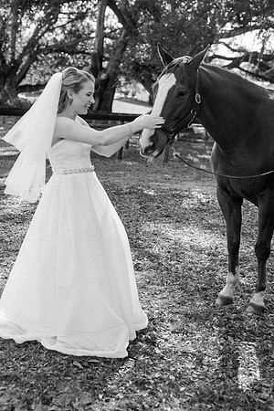 wedding -196