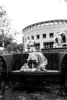 wedding-16