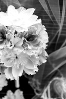 wedding-8