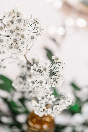 Wedding (462 of 1019)