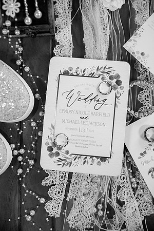 Wedding (24 of 1019)