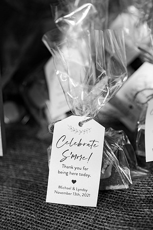 Wedding (221 of 1019)