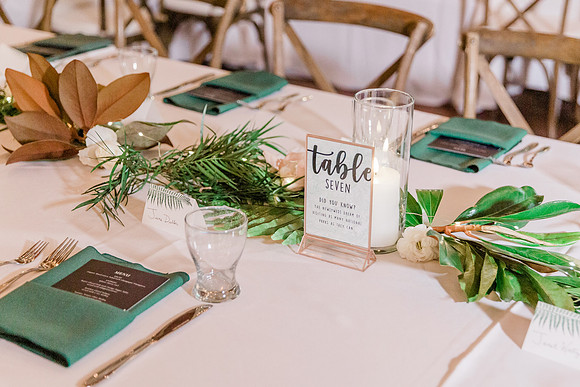 wedding-287