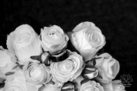 wedding -8